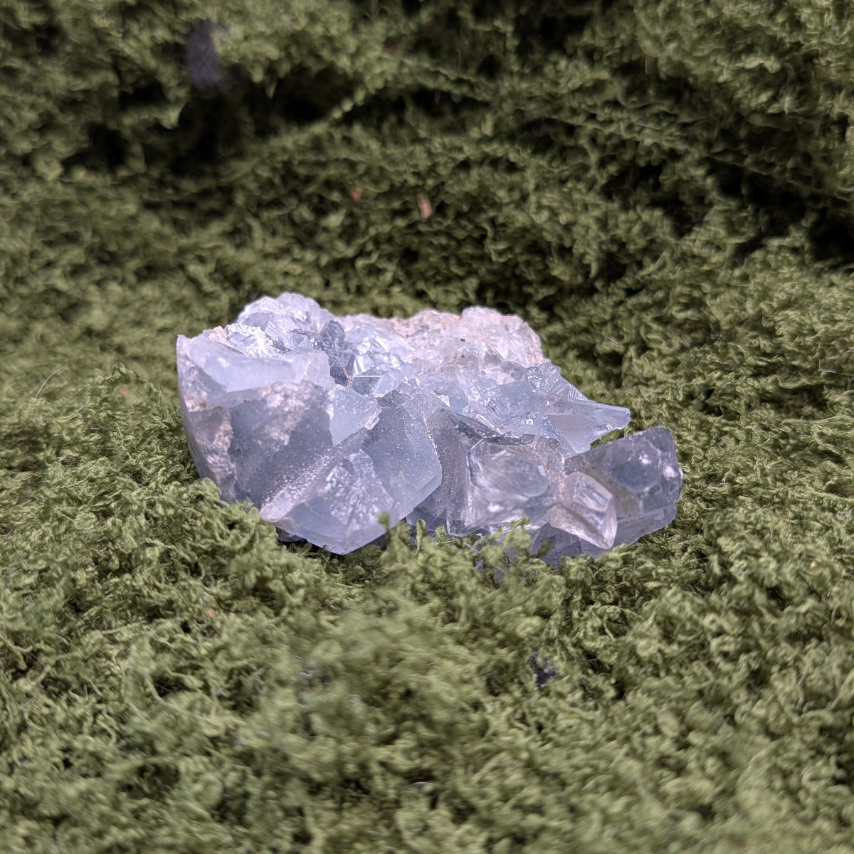 Celestite Geode