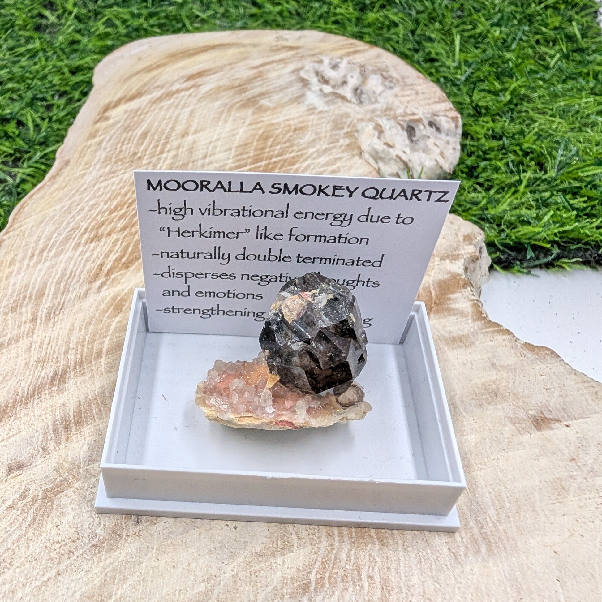 Mooralla Smokey Quartz crystal in a display box with descriptive card on a natural stone background
