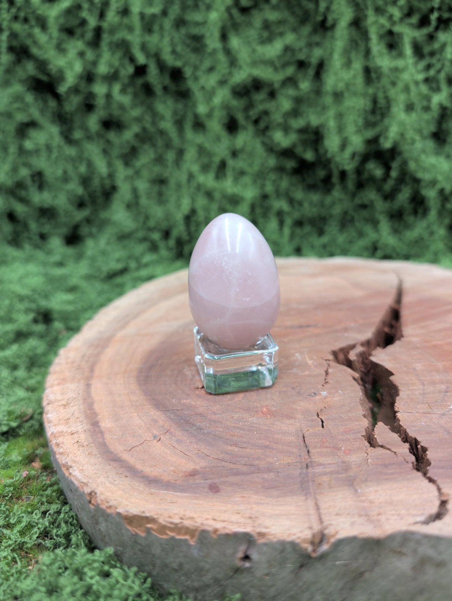 11 Rose Quartz Eggs
