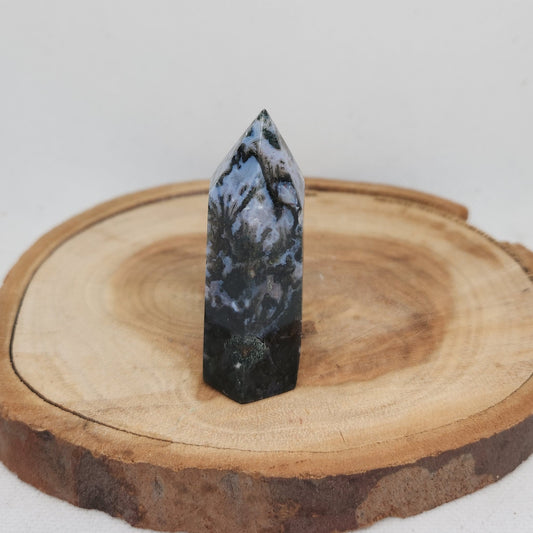 Moss Agate Point