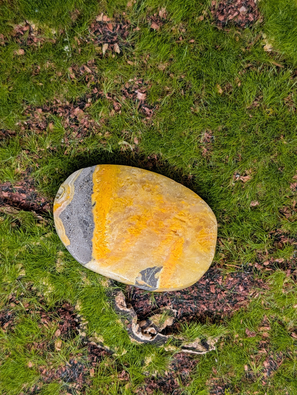 Bumble Bee Jasper Palmstone