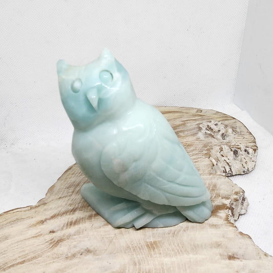 Caribbean Calcite Owl