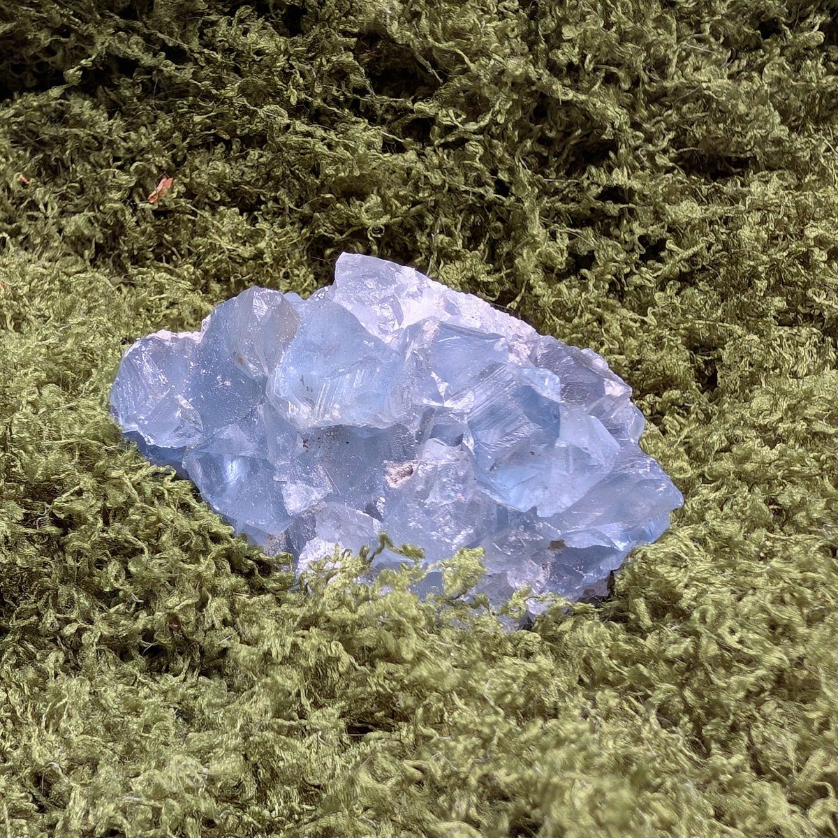 Celestite Geode