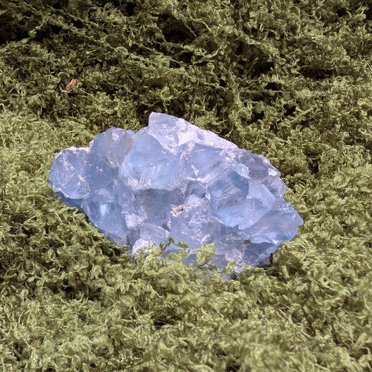Celestite Geode