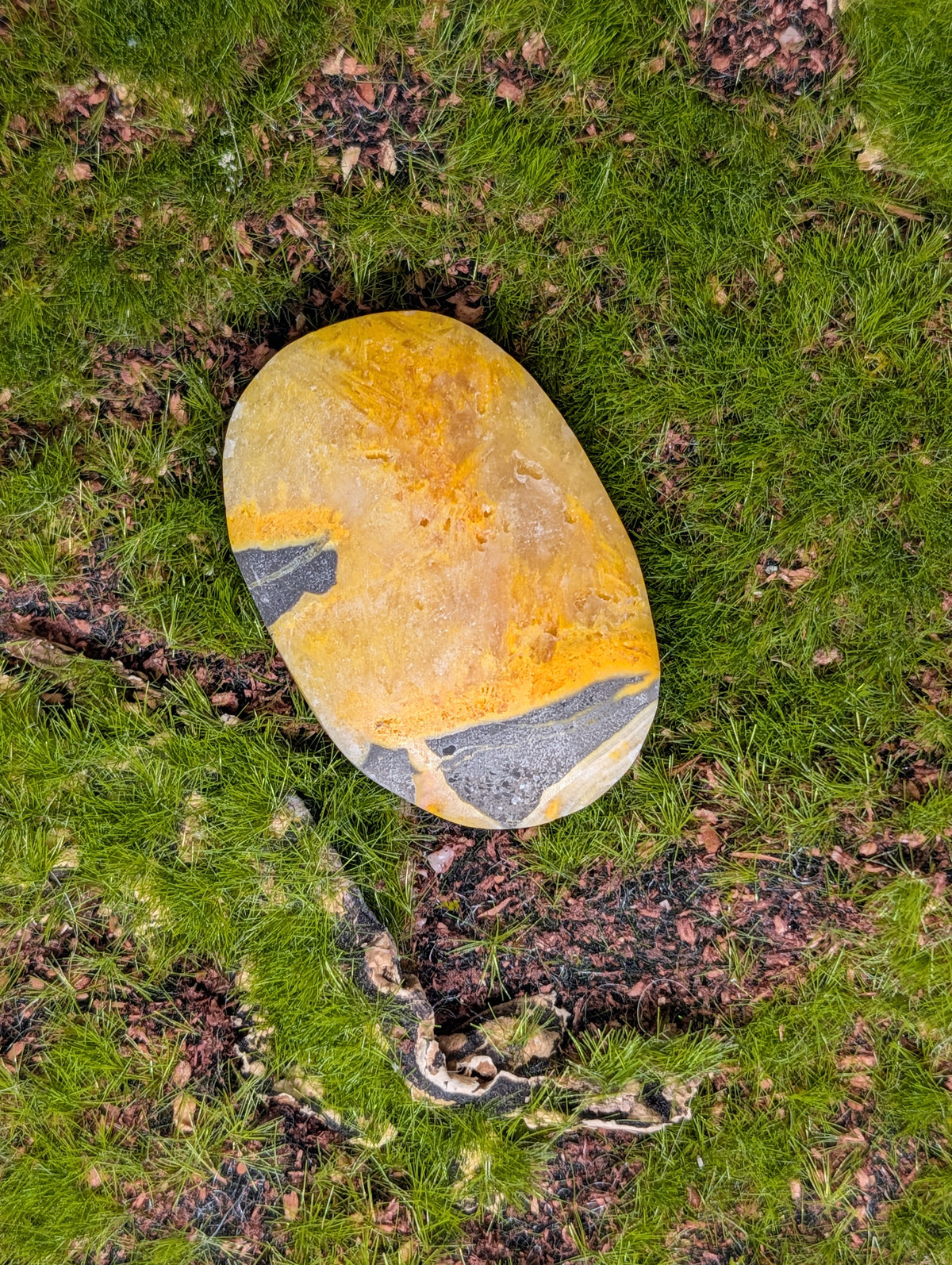 Bumble Bee Jasper Palmstone
