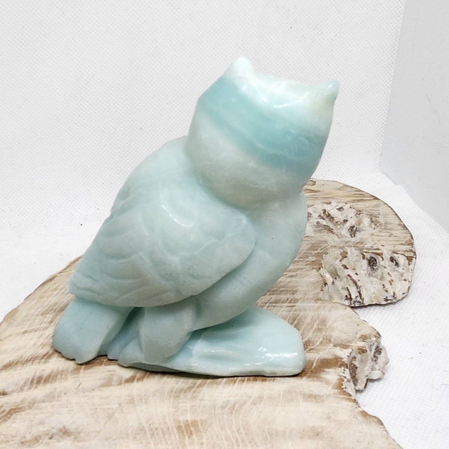 Caribbean Calcite Owl