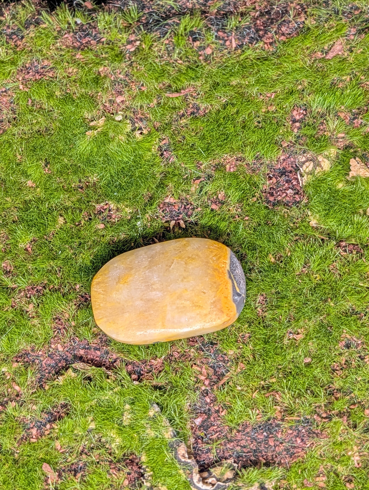 Bumble Bee Jasper Palmstone