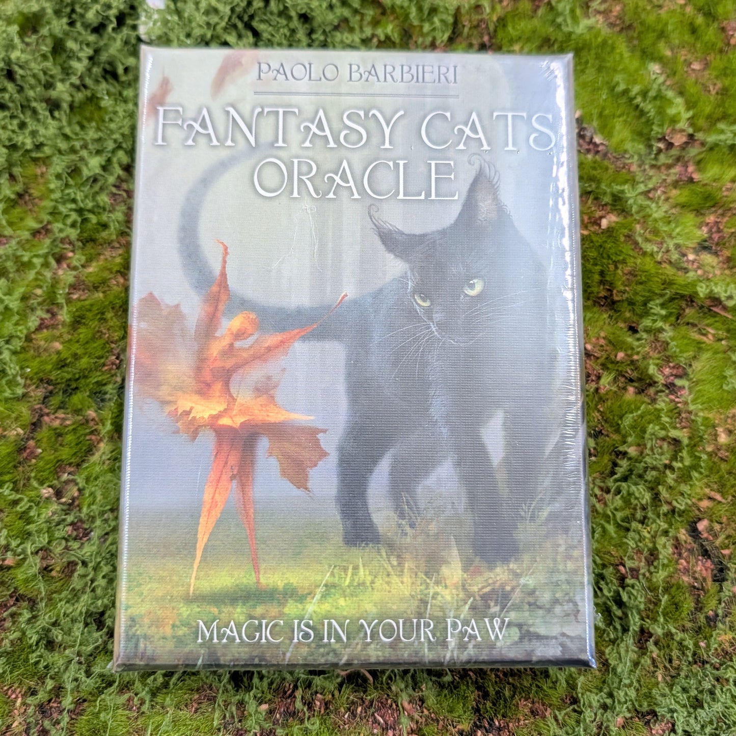 Fantasy Cat's Oracle