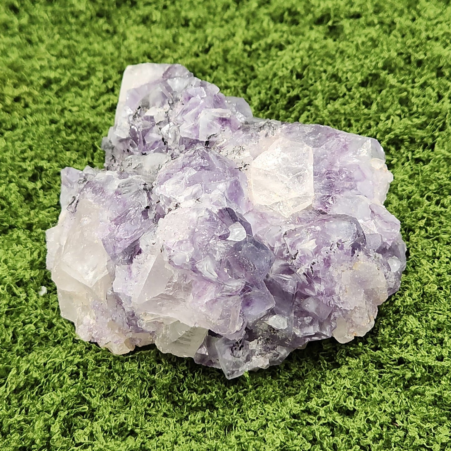 Amethyst crystal cluster on a green moss background
