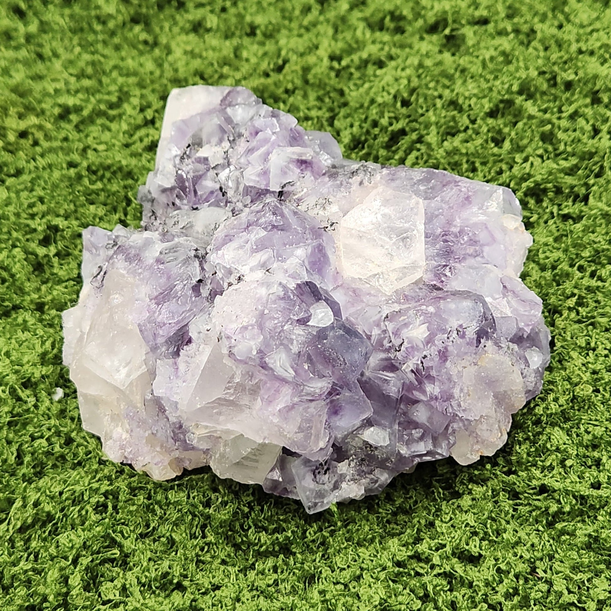 Amethyst crystal cluster on a green moss background