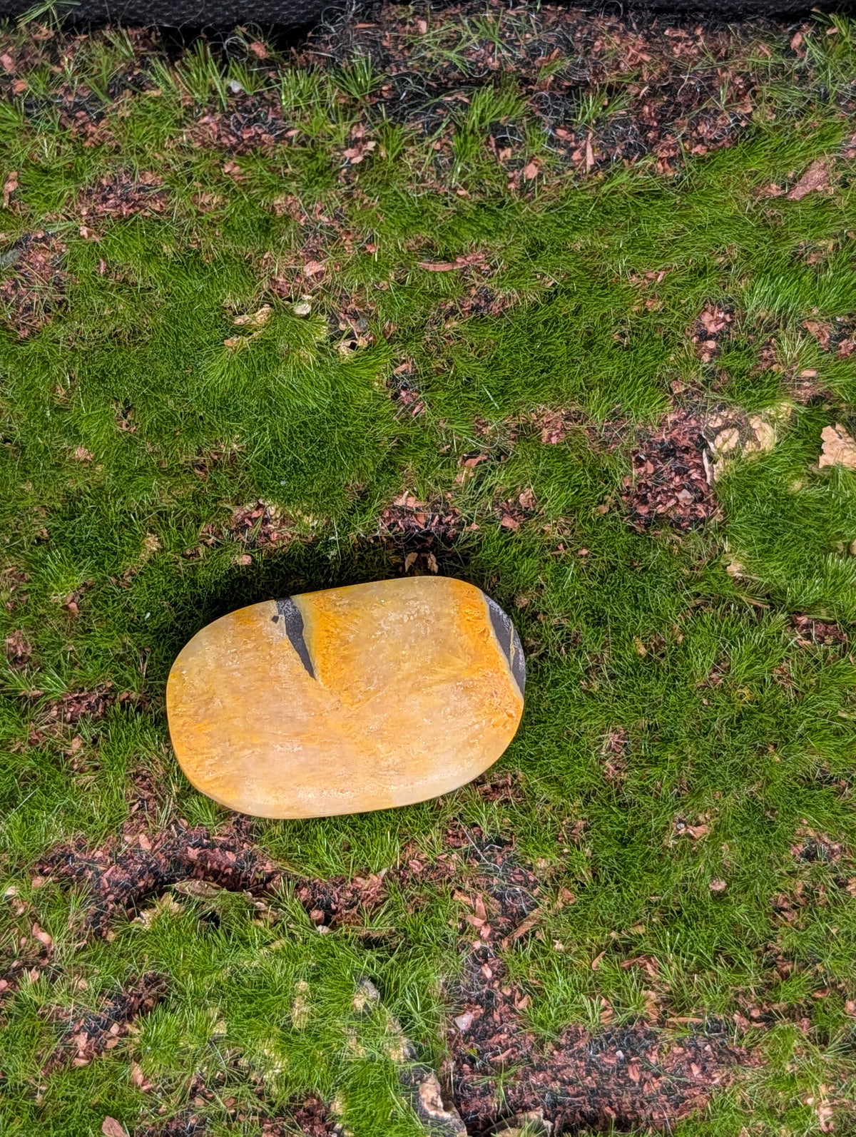 Bumble Bee Jasper Palmstone