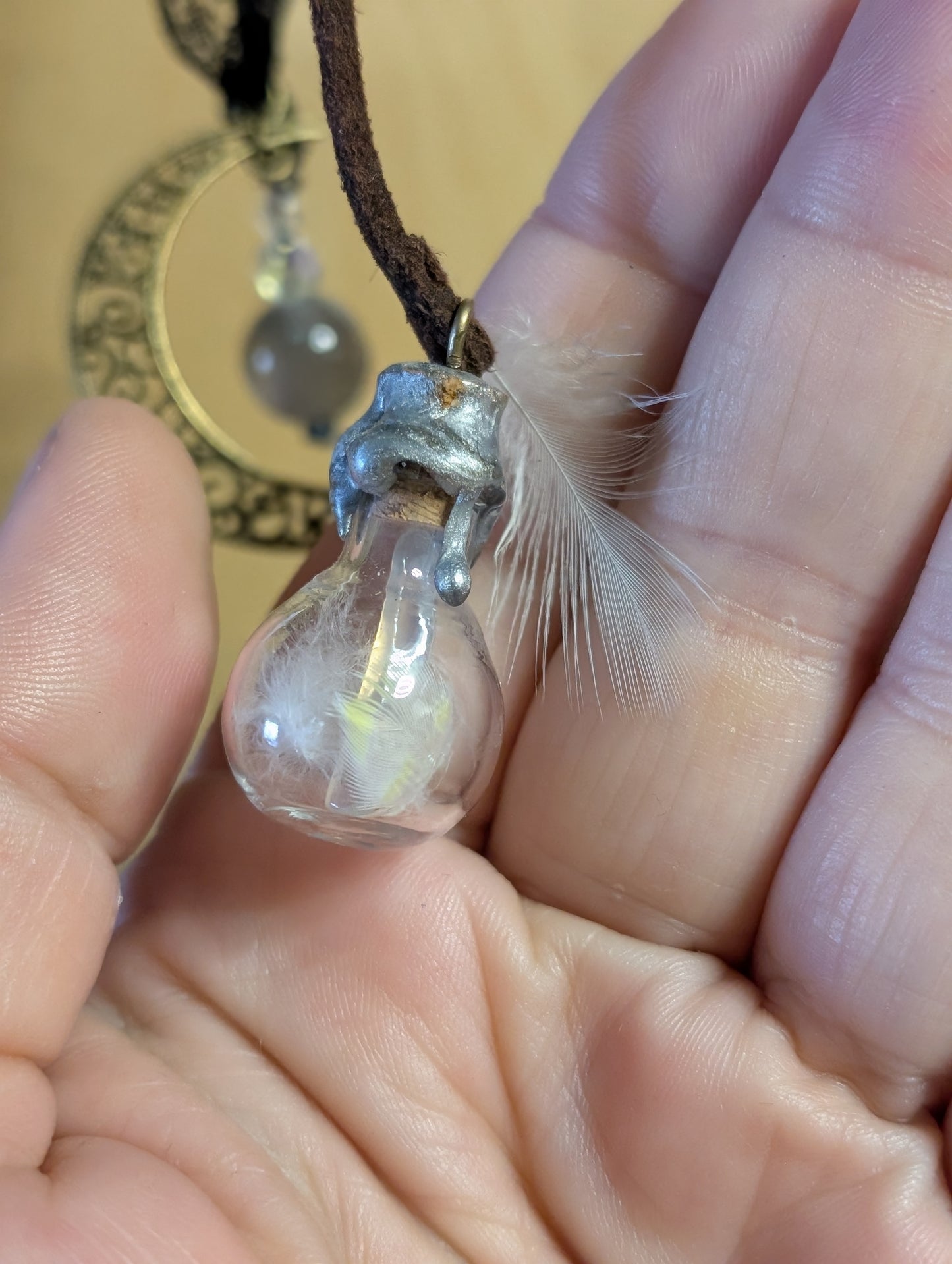 Currently on back order