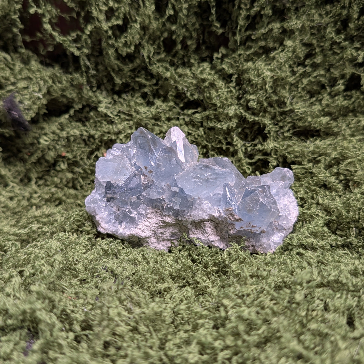 Celestite Geode