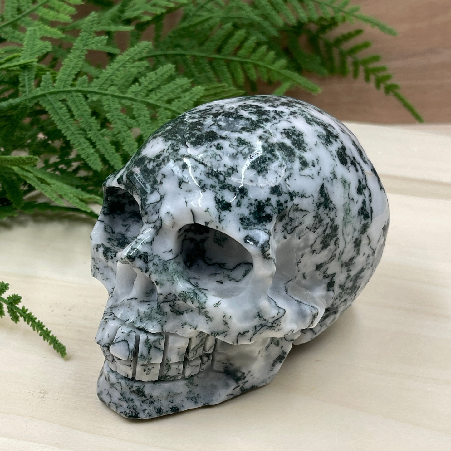 Tree Agate Skull