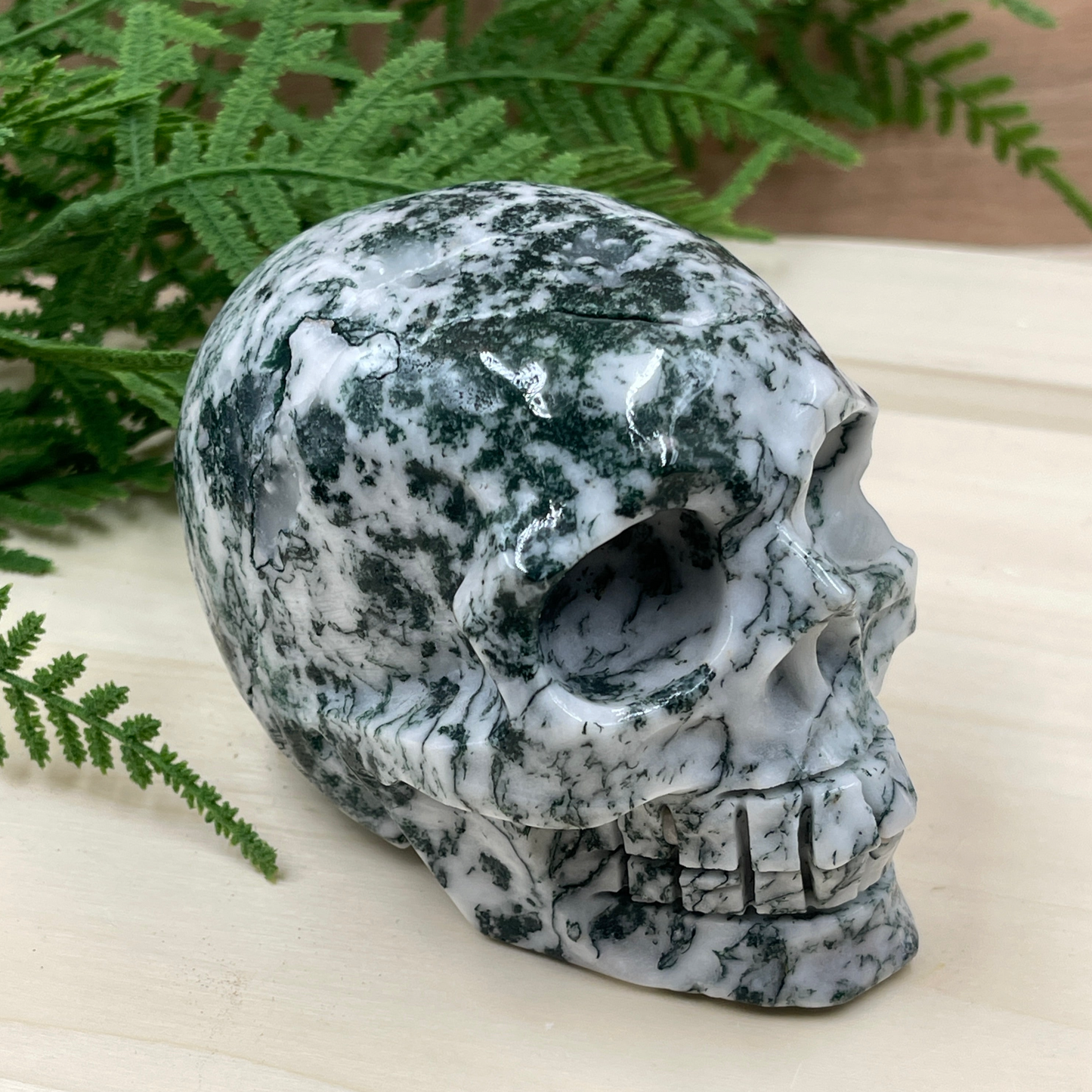 Tree Agate Skull