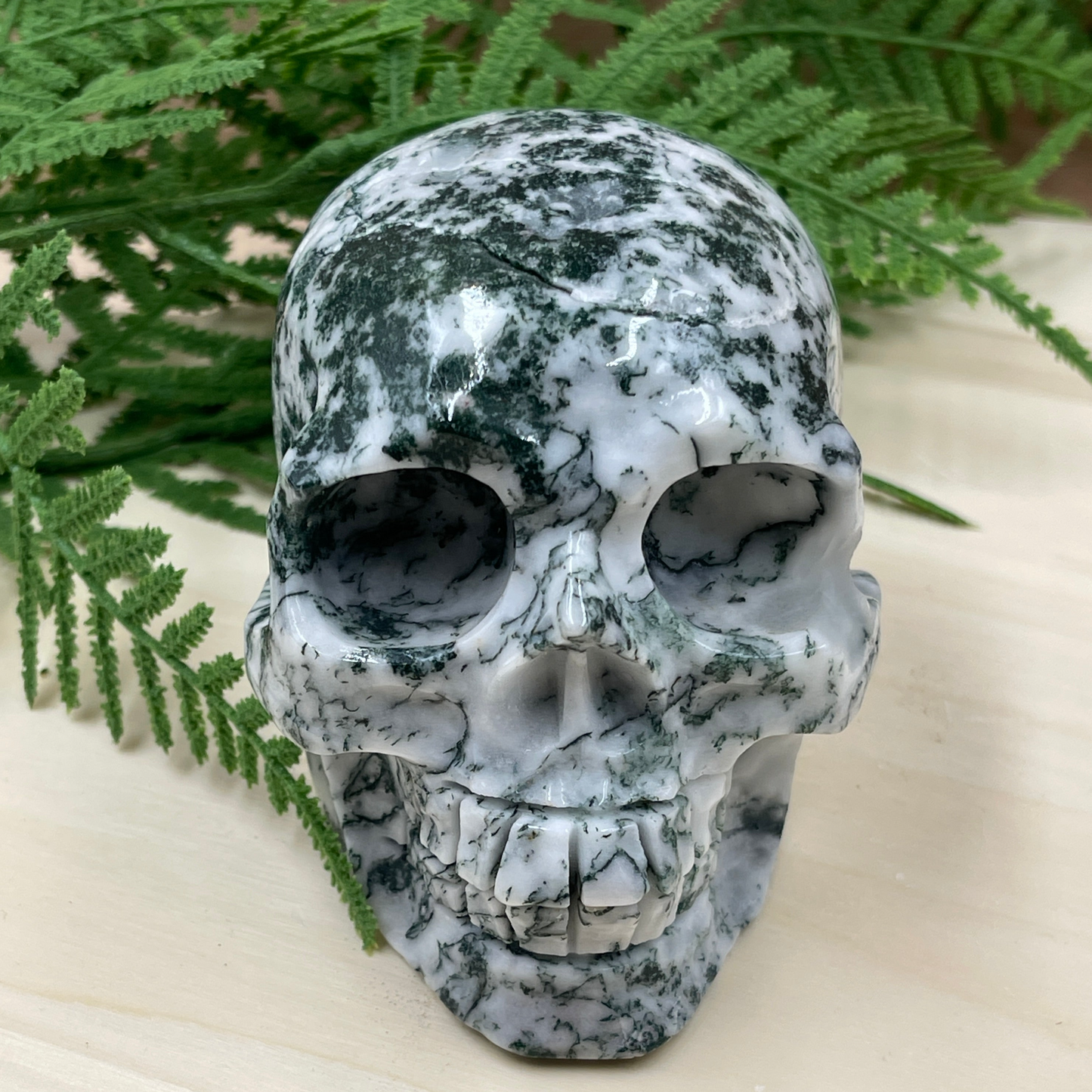 Tree Agate Skull