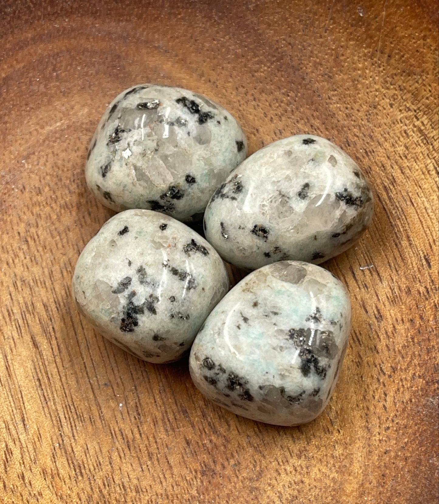 Sesame Kiwi Stone Jasper Tumbled