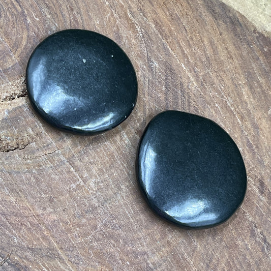 Shungite Palmstone