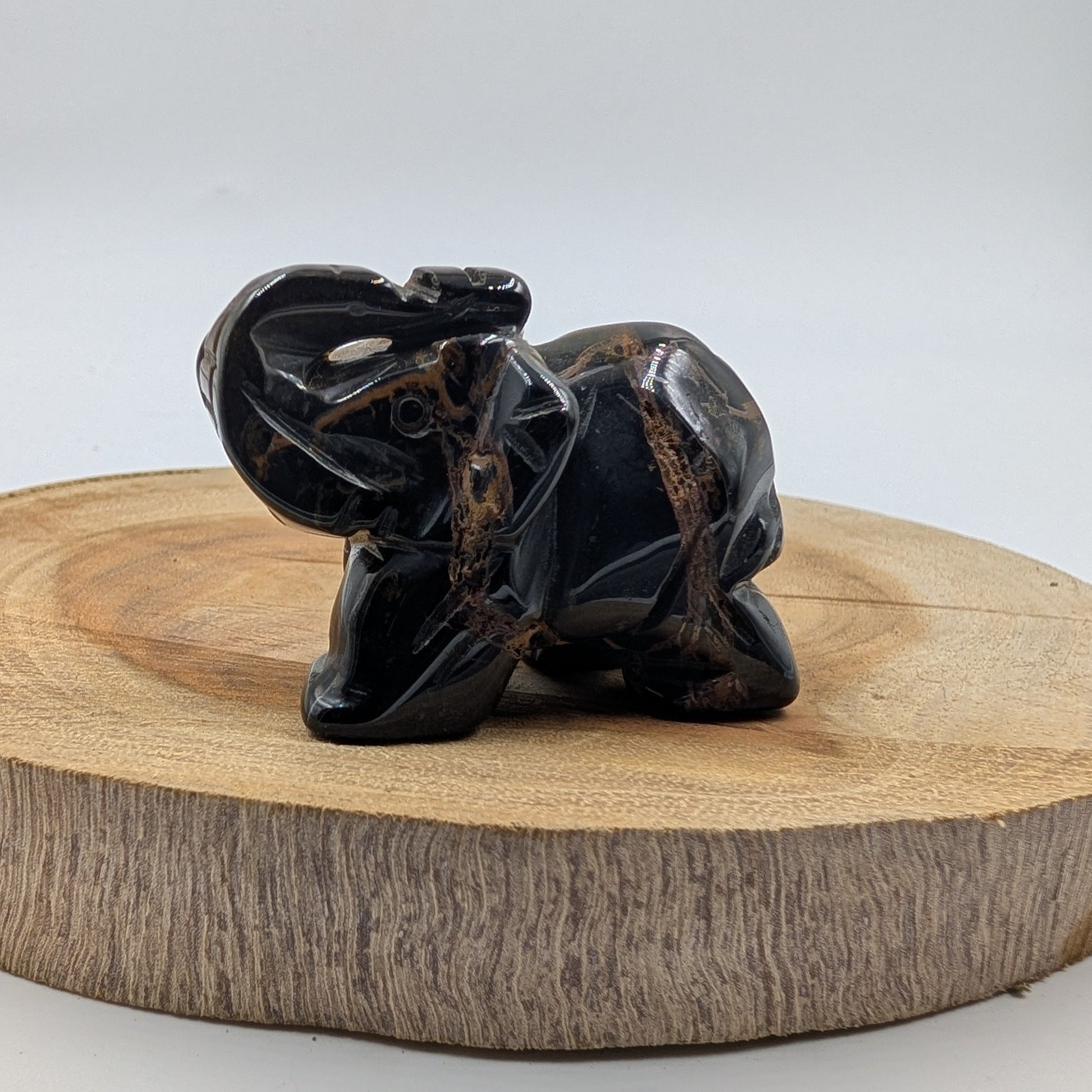 tiger eye elephant