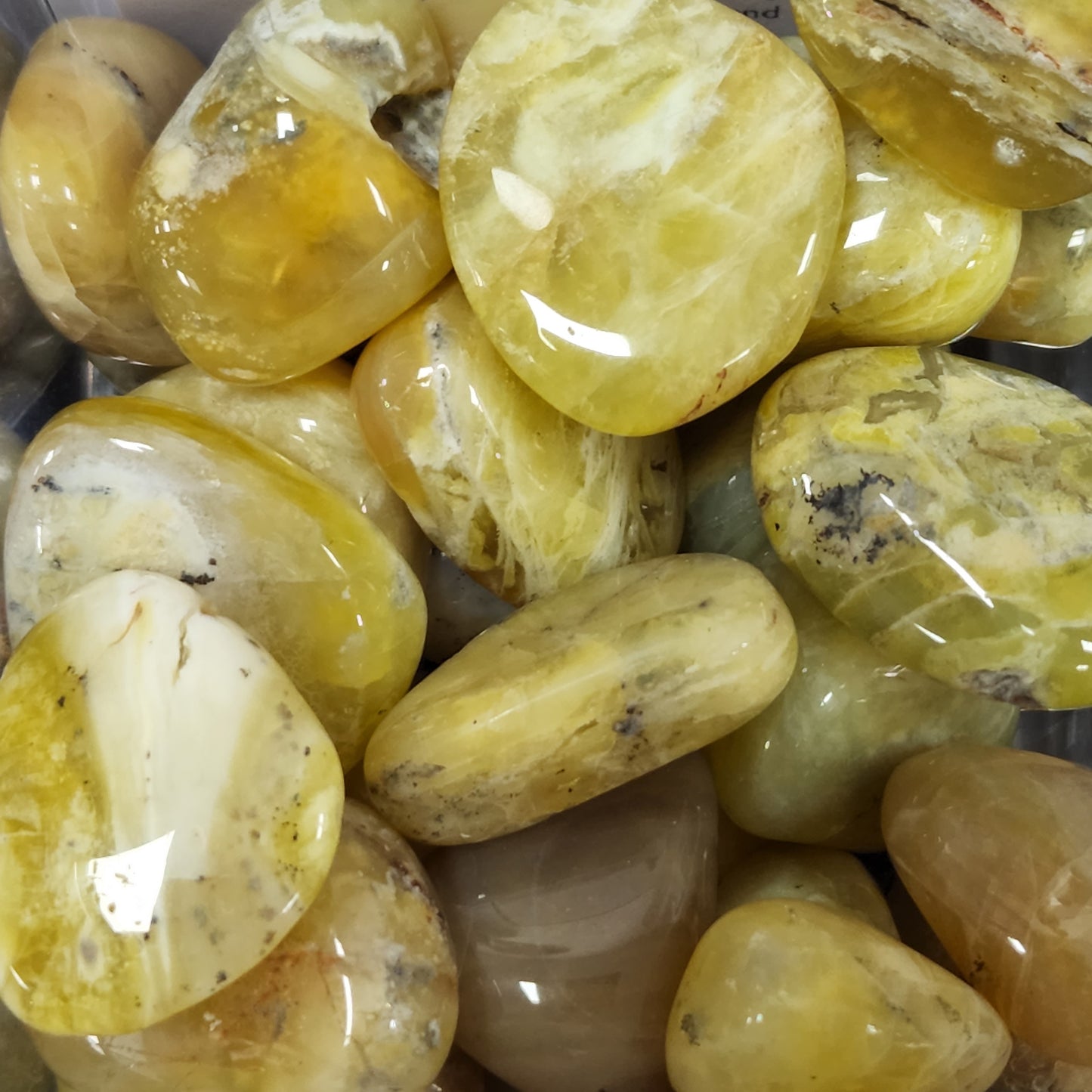 Yellow Opal Tumbled