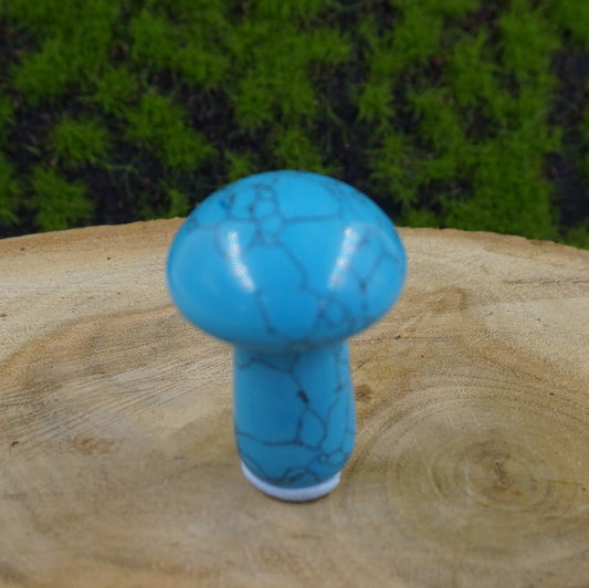 Turquoise Howlite Mushroom