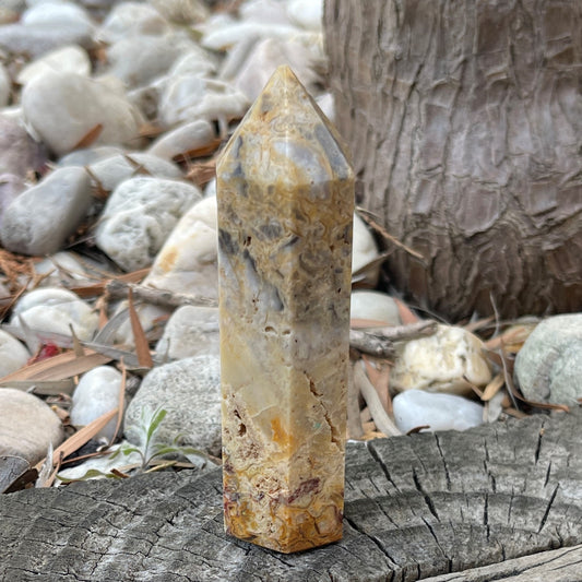 Crazy Lace Agate