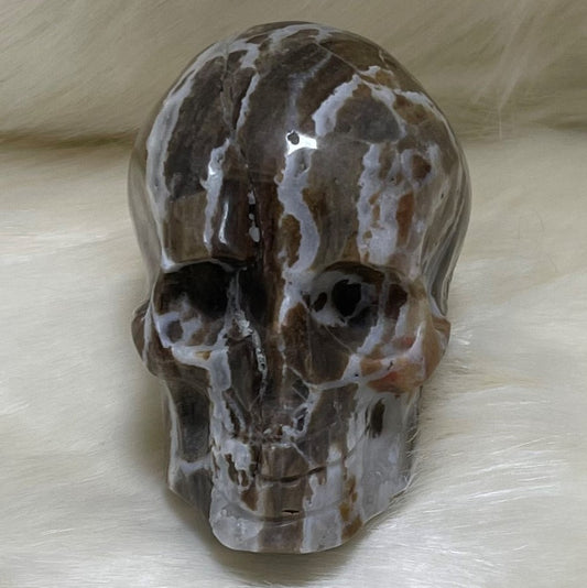 Zebra Jasper Skull