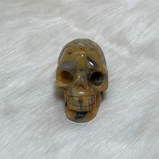 Crazy Lace Agate Skull