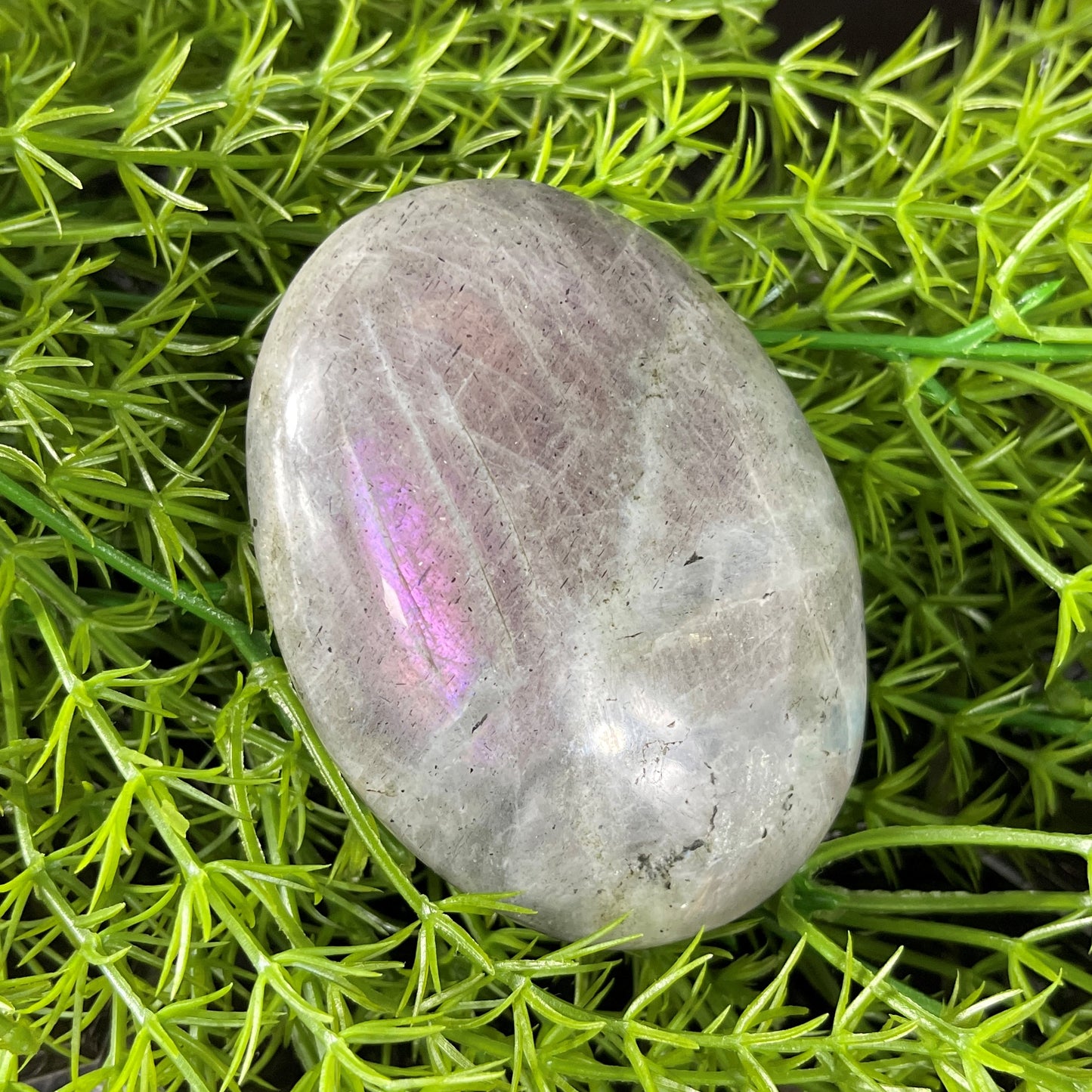 Labradorite Palmstone