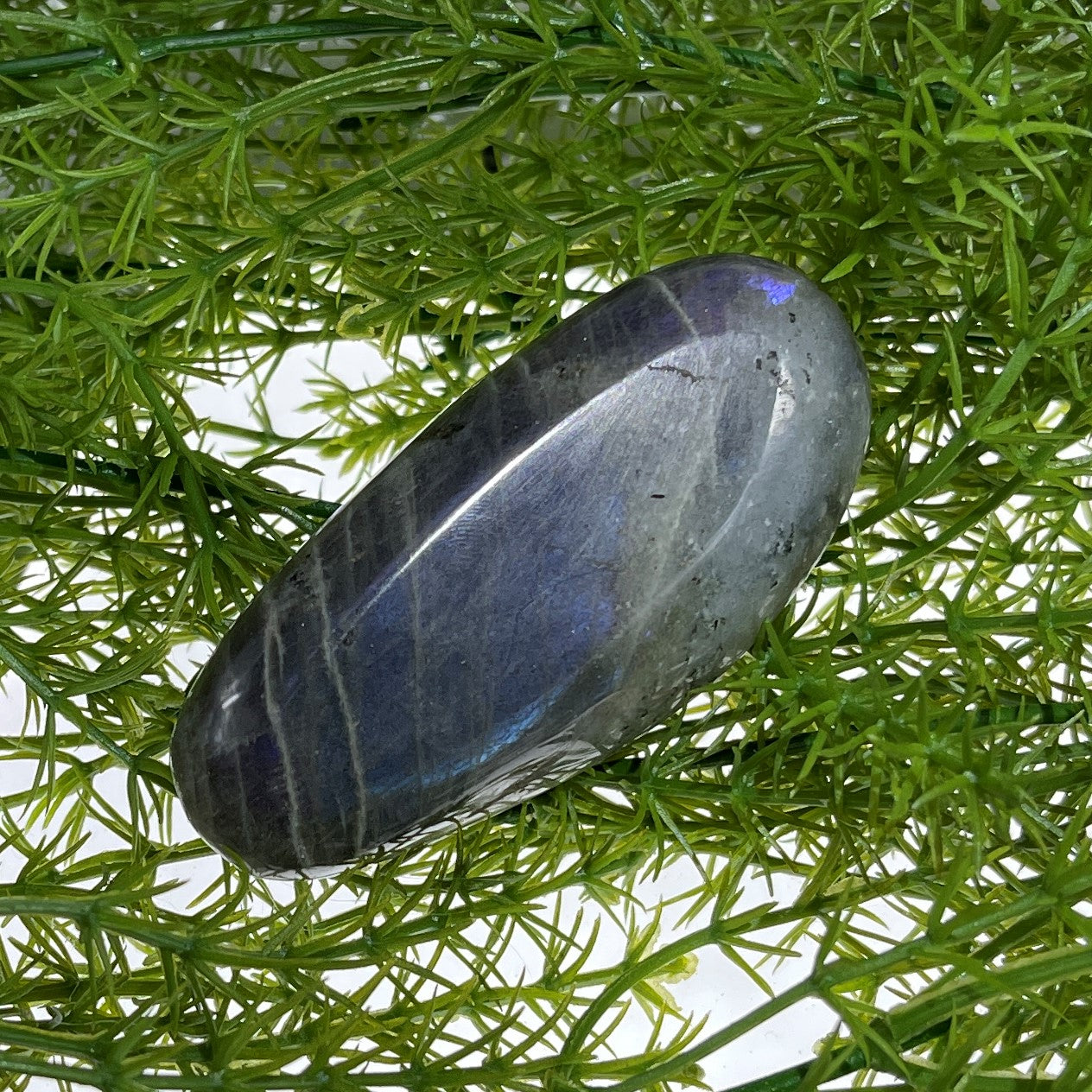 Labradorite Palmstone