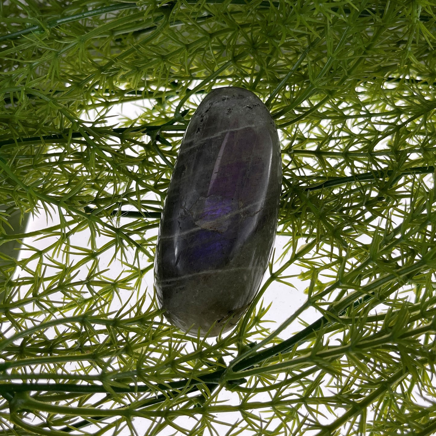 Labradorite Palmstone