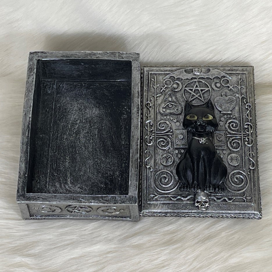 Black Cat Spirit box