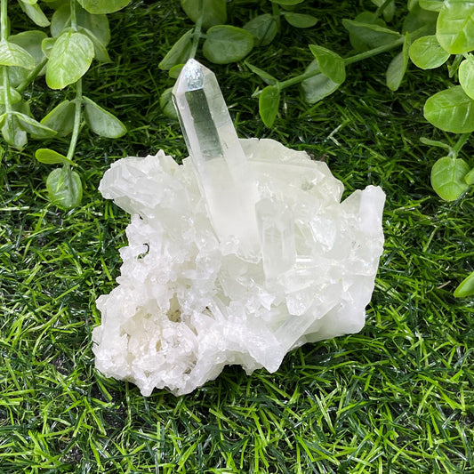 Raw Clear Quartz Cluster