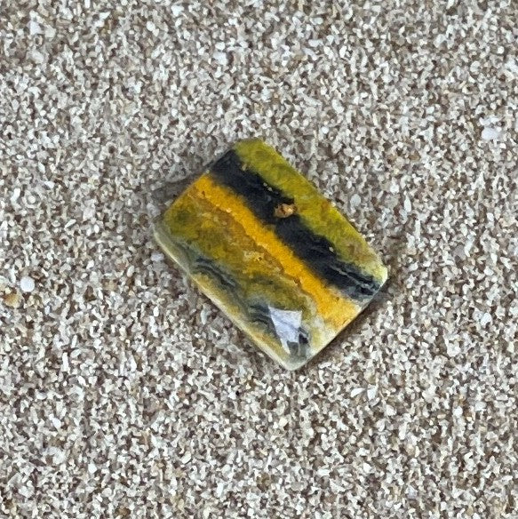 Bumblebee Jasper 1