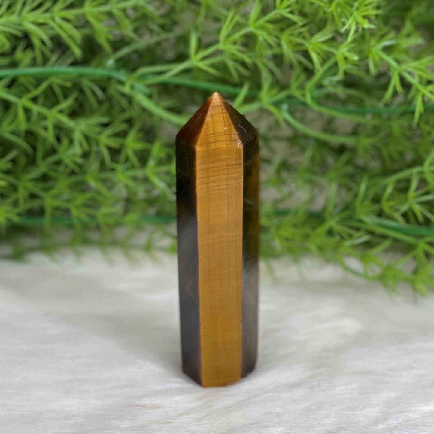 Tiger Eye Point