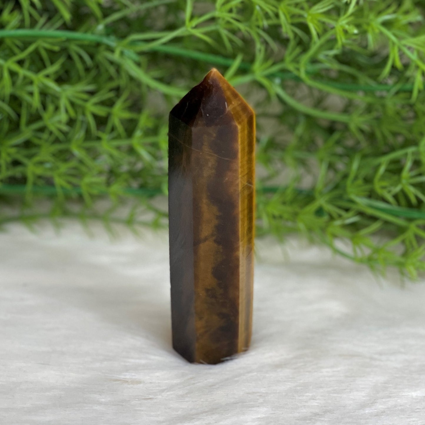 Tiger Eye Point